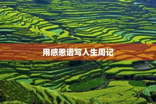 用感恩谱写人生周记 用感恩谱写人生周记