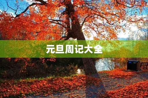 元旦周记大全
