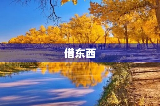 借东西