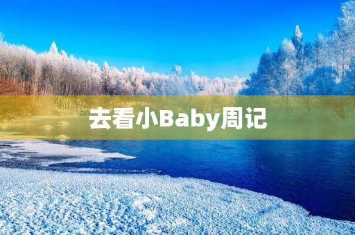 去看小Baby周记