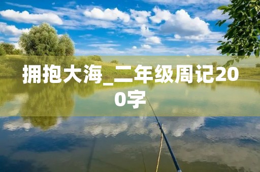 拥抱大海_二年级周记200字