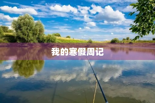 我的寒假周记