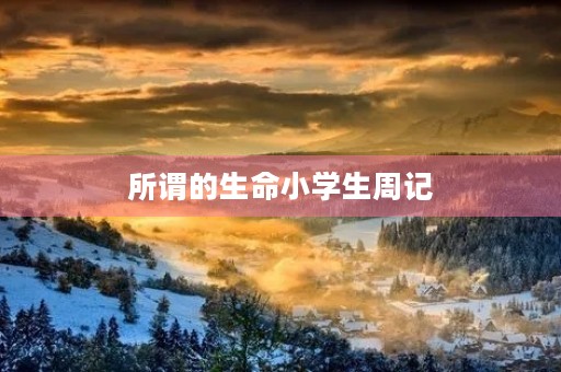 所谓的生命小学生周记 所谓的生命小学生周记
