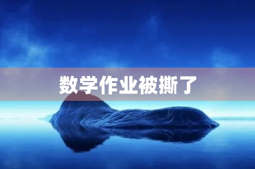 数学作业被撕了 数学作业被撕了