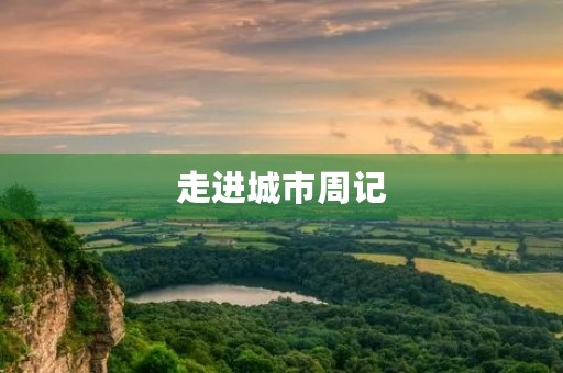 走进城市周记