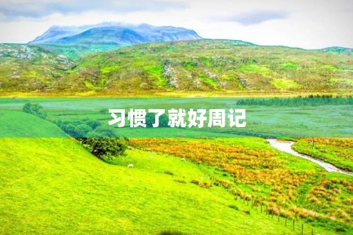 习惯了就好周记 习惯了就好周记