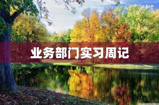 业务部门实习周记