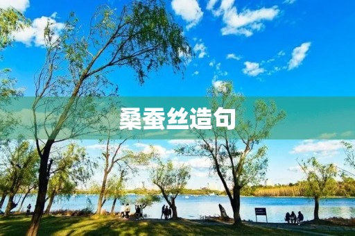 桑蚕丝造句 桑蚕丝造句