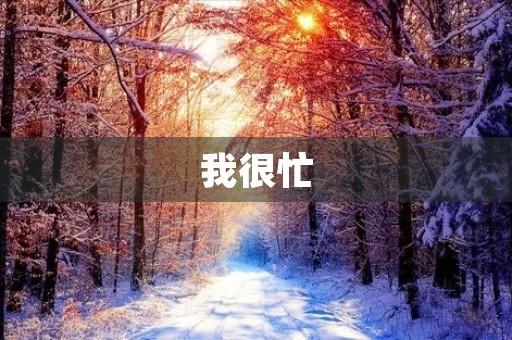 我很忙 我很忙