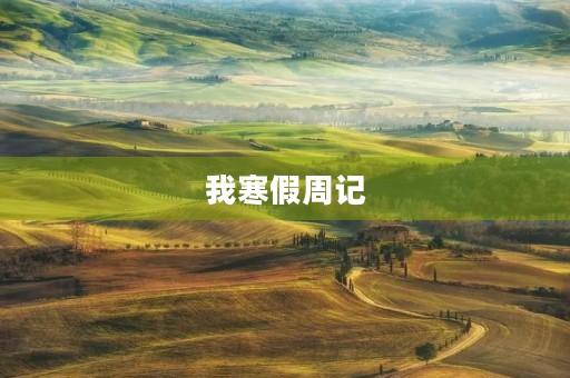 我寒假周记