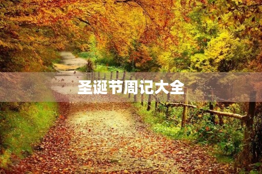 圣诞节周记大全