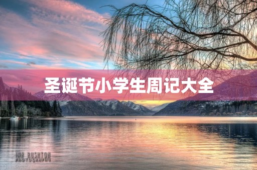 圣诞节小学生周记大全 圣诞节小学生周记大全