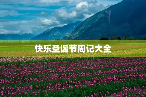 快乐圣诞节周记大全 快乐圣诞节周记大全