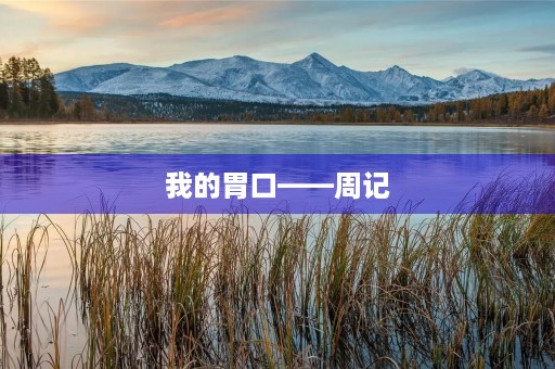 我的胃口——周记 我的胃口——周记