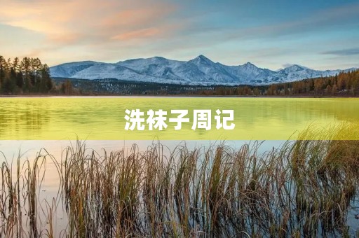 洗袜子周记 洗袜子周记