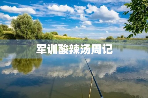 军训酸辣汤周记 军训酸辣汤周记