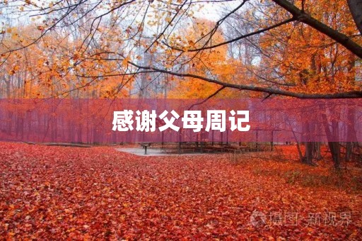 感谢父母周记 感谢父母周记