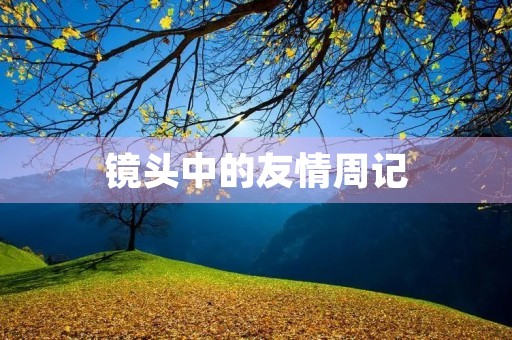 镜头中的友情周记 镜头中的友情周记