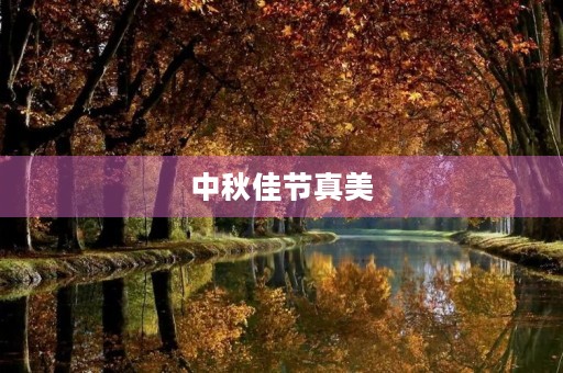 中秋佳节真美 中秋佳节真美