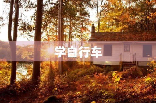 学自行车 学自行车