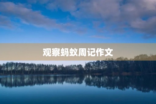 观察蚂蚁周记作文
