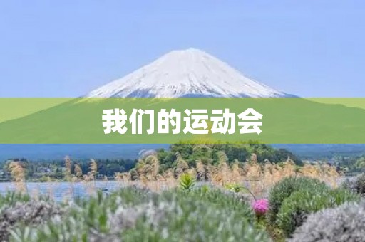 我们的运动会 我们的运动会