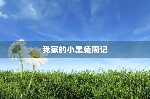 我家的小黑兔周记 我家的小黑兔周记