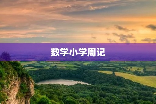 数学小学周记 数学小学周记
