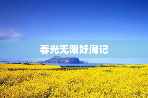 春光无限好周记 春光无限好周记