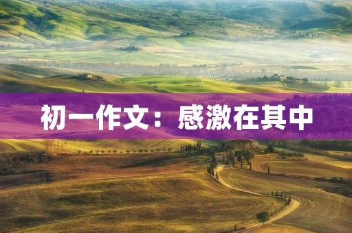 初一作文:感激在其中 初一作文:感激在其中