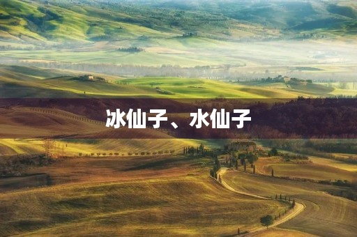 冰仙子、水仙子 冰仙子、水仙子