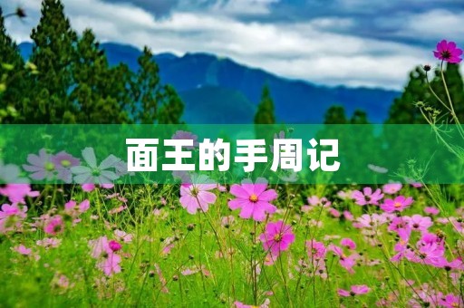 面王的手周记 面王的手周记