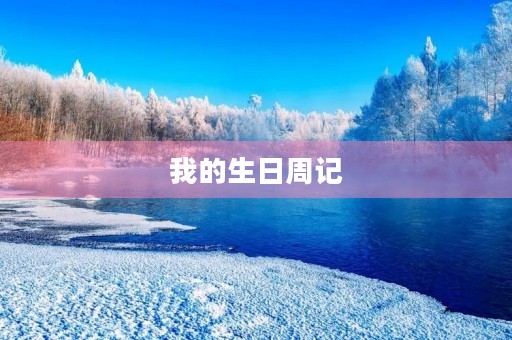 我的生日周记 我的生日周记