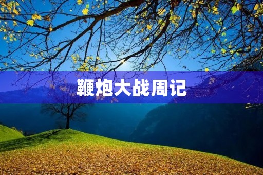 鞭炮大战周记 鞭炮大战周记