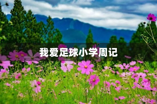 我爱足球小学周记 我爱足球小学周记