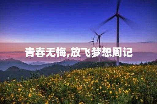 青春无悔,放飞梦想周记