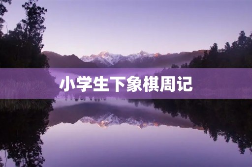 小学生下象棋周记