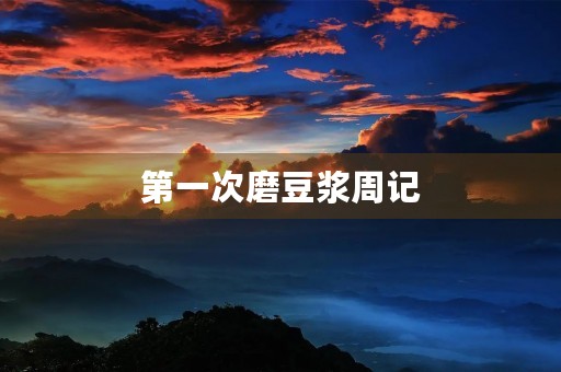 第一次磨豆浆周记