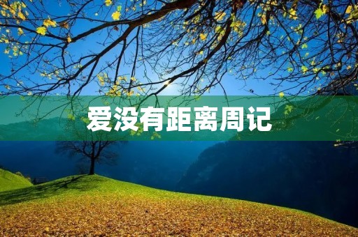 爱没有距离周记