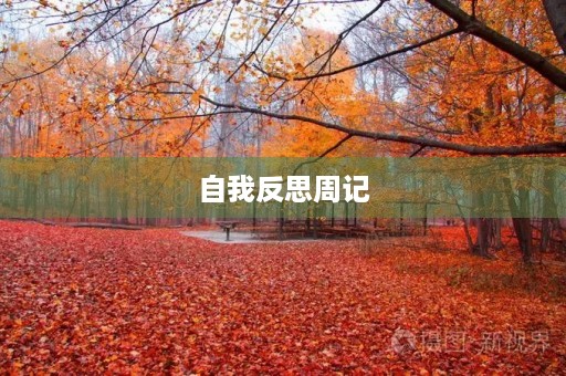 自我反思周记 自我反思周记