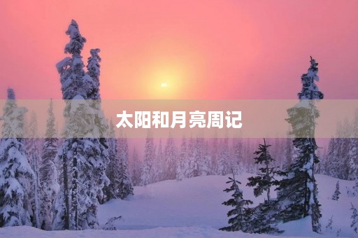 太阳和月亮周记 太阳和月亮周记