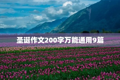 圣诞作文200字万能通用9篇 圣诞作文200字万能通用9篇