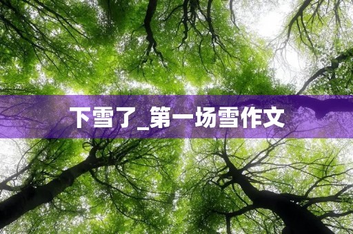 下雪了_第一场雪作文