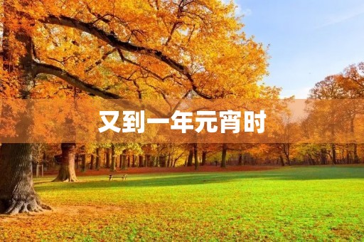 又到一年元宵时 又到一年元宵时