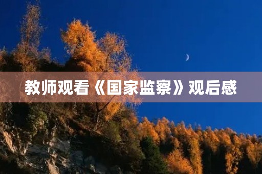 教师观看《国家监察》观后感 教师观看《国家监察》观后感