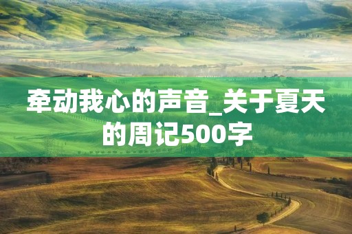 牵动我心的声音_关于夏天的周记500字