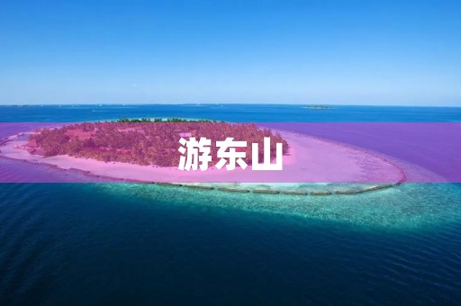 游东山 游东山