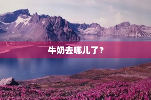 牛奶去哪儿了? 牛奶去哪儿了?