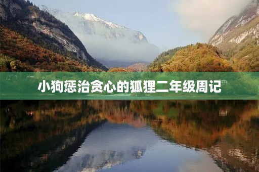 小狗惩治贪心的狐狸二年级周记 小狗惩治贪心的狐狸二年级周记
