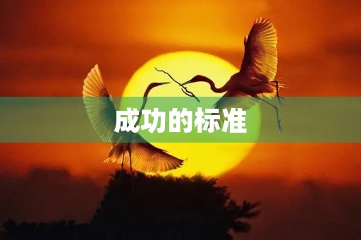 成功的标准
